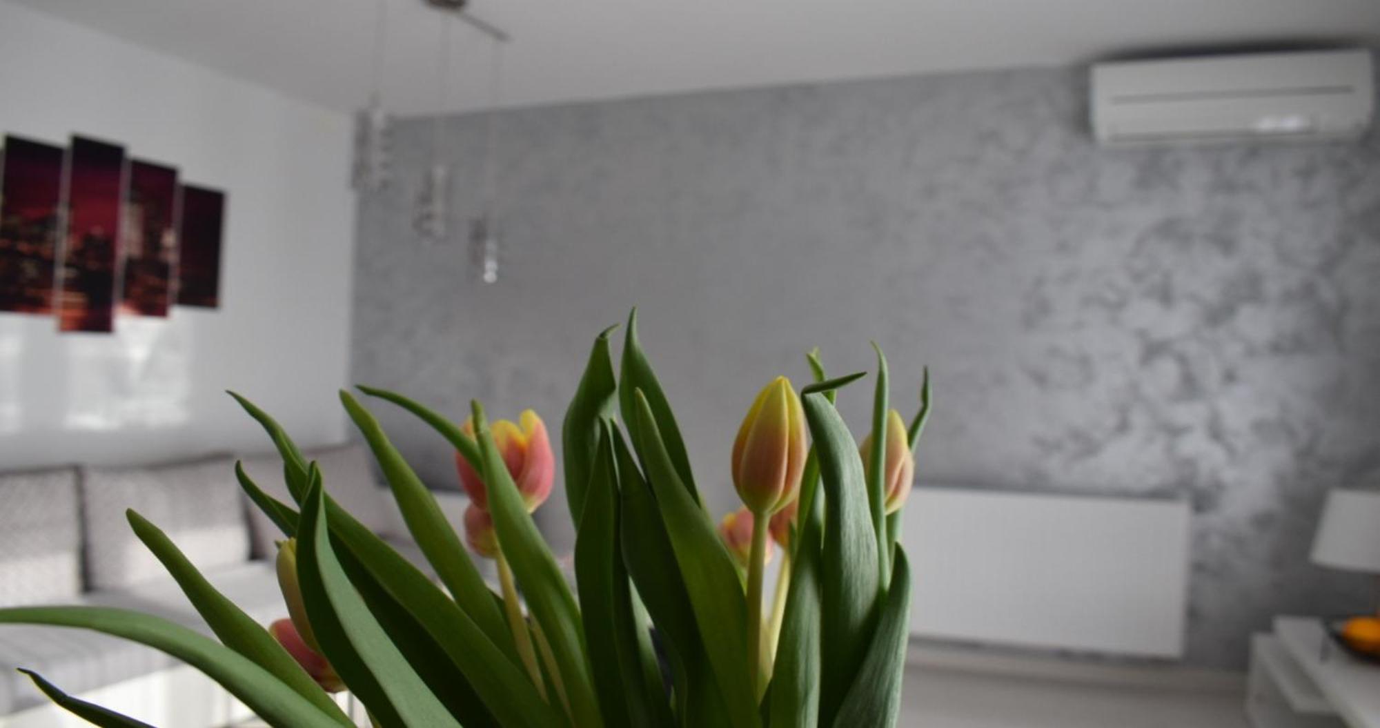 Apartmani Foresta Kras Buitenkant foto