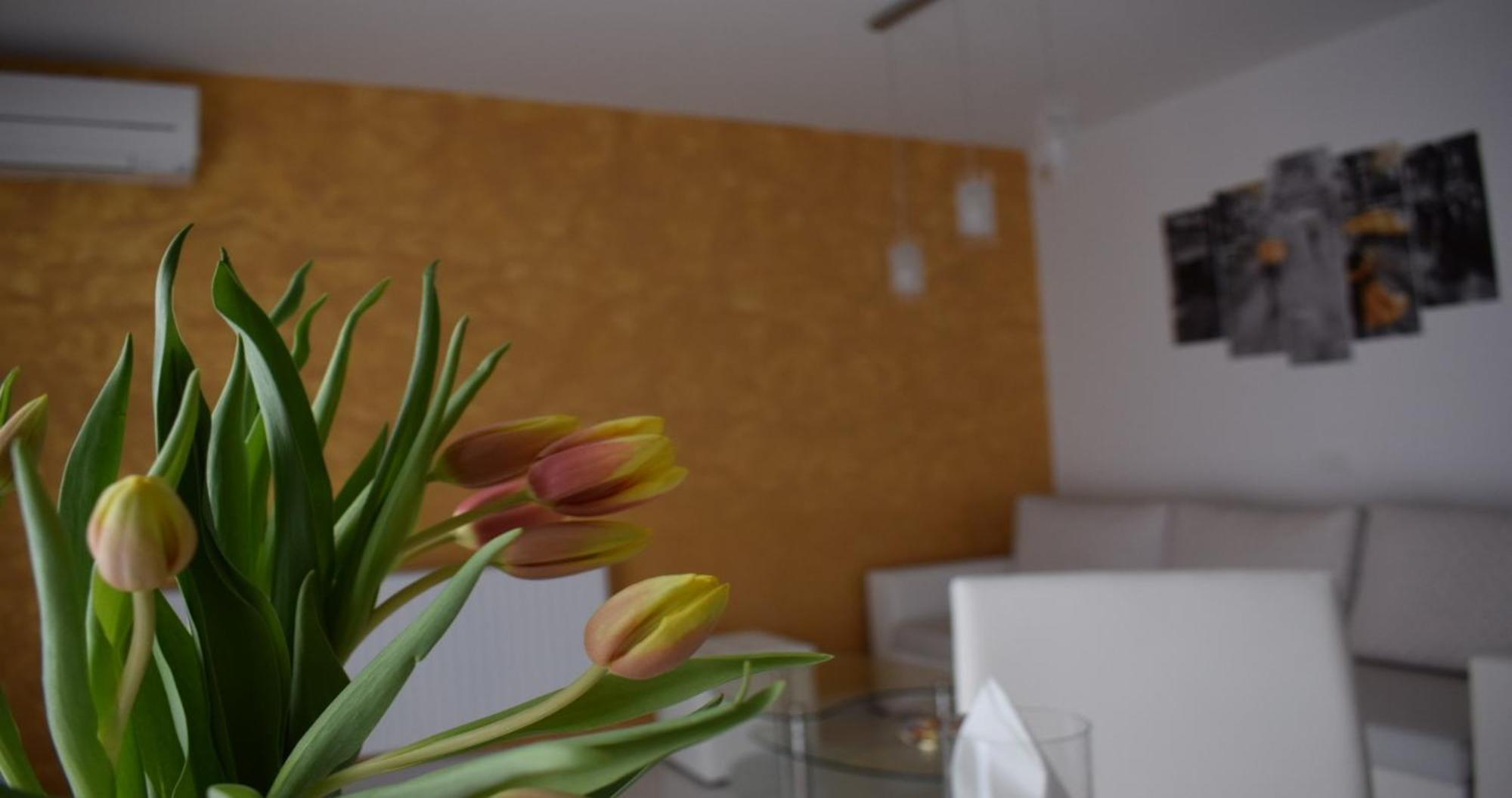 Apartmani Foresta Kras Buitenkant foto